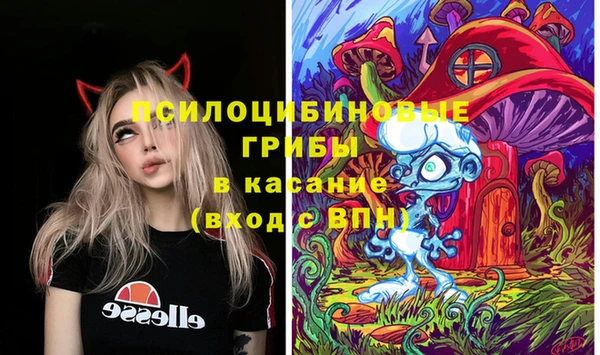винт Алзамай