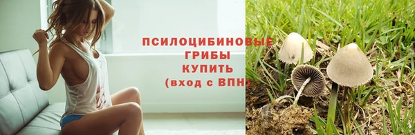 MESCALINE Абаза