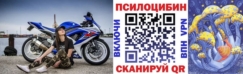 наркота  Вологда  Галлюциногенные грибы Psilocybe 